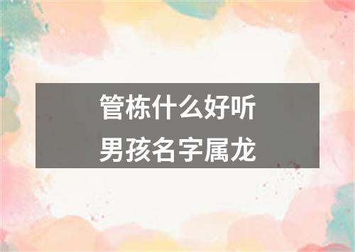 管栋什么好听男孩名字属龙