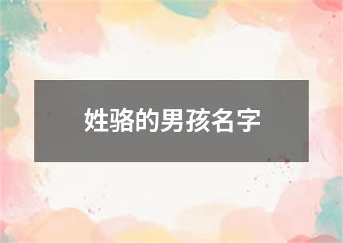 姓骆的男孩名字