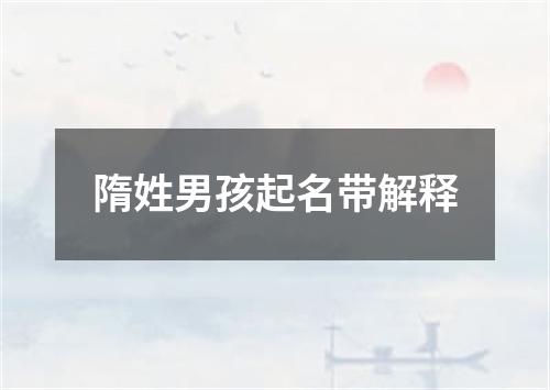 隋姓男孩起名带解释