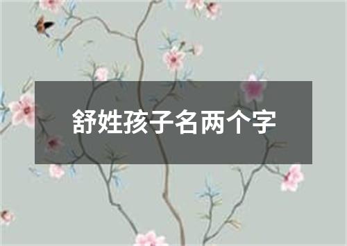 舒姓孩子名两个字