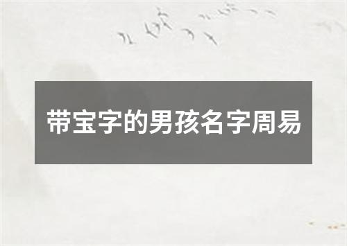 带宝字的男孩名字周易