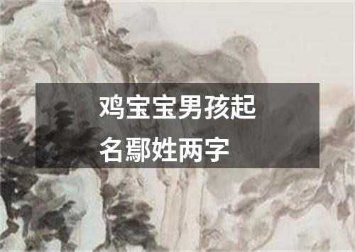 鸡宝宝男孩起名鄢姓两字