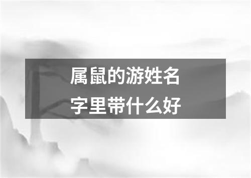 属鼠的游姓名字里带什么好
