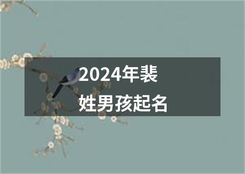 2024年裴姓男孩起名