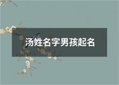 汤姓名字男孩起名