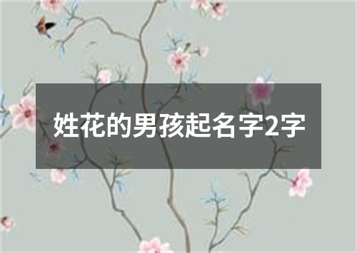 姓花的男孩起名字2字