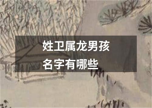 姓卫属龙男孩名字有哪些