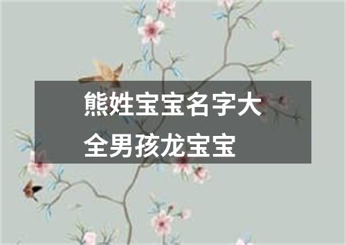 熊姓宝宝名字大全男孩龙宝宝