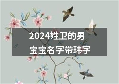 2024姓卫的男宝宝名字带玮字