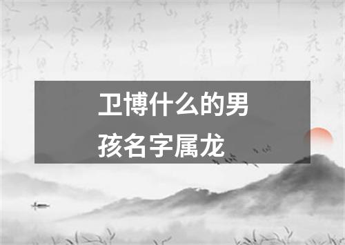 卫博什么的男孩名字属龙