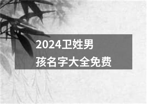 2024卫姓男孩名字大全免费