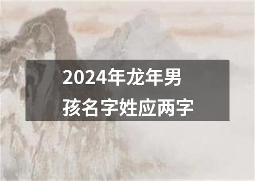 2024年龙年男孩名字姓应两字