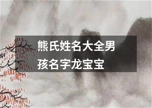 熊氏姓名大全男孩名字龙宝宝