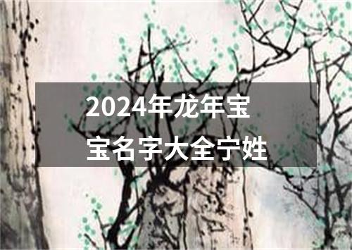 2024年龙年宝宝名字大全宁姓