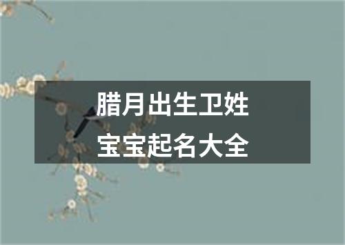 腊月出生卫姓宝宝起名大全