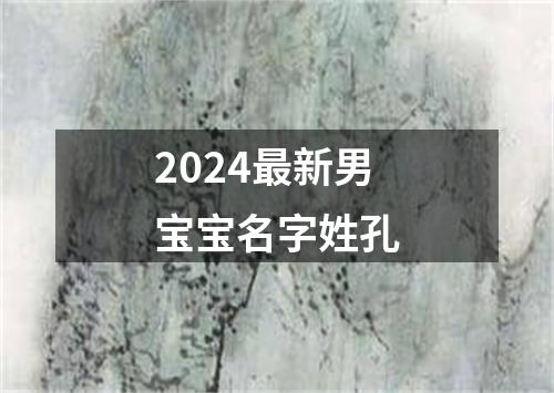 2024最新男宝宝名字姓孔