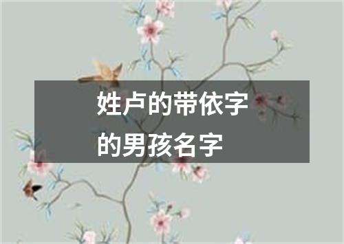 姓卢的带依字的男孩名字