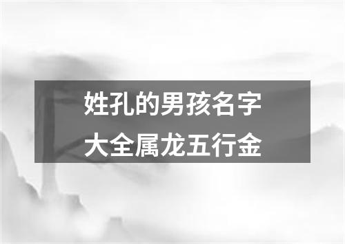 姓孔的男孩名字大全属龙五行金