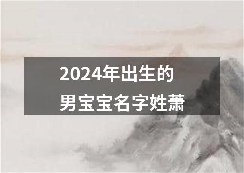 2024年出生的男宝宝名字姓萧