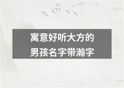 寓意好听大方的男孩名字带瀚字