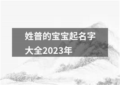 姓普的宝宝起名字大全2023年