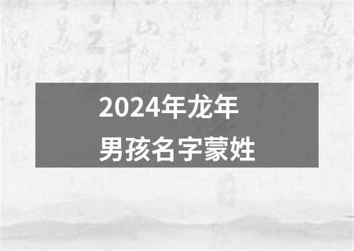 2024年龙年男孩名字蒙姓