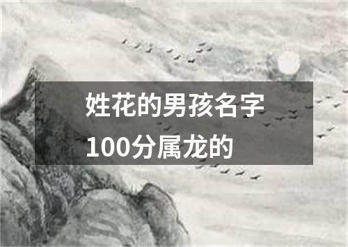 姓花的男孩名字100分属龙的