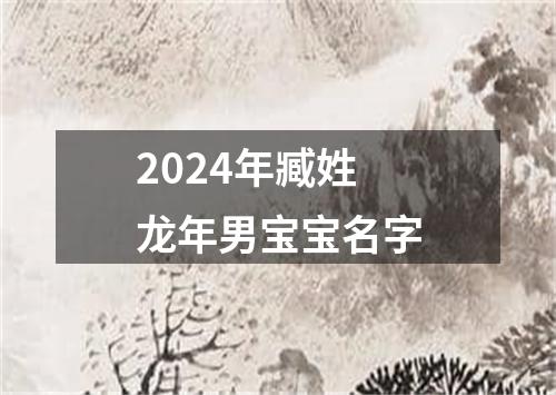 2024年臧姓龙年男宝宝名字