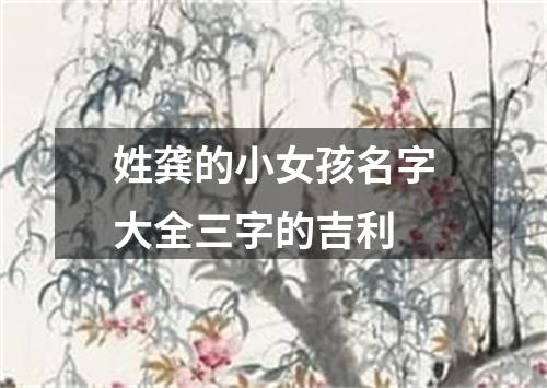 姓龚的小女孩名字大全三字的吉利