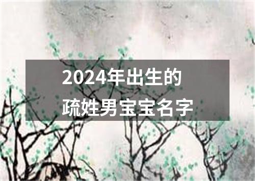 2024年出生的疏姓男宝宝名字