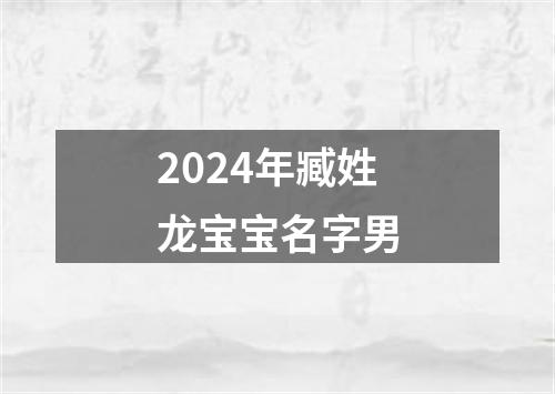 2024年臧姓龙宝宝名字男
