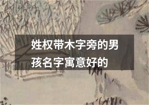 姓权带木字旁的男孩名字寓意好的