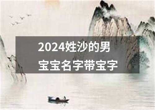 2024姓沙的男宝宝名字带宝字