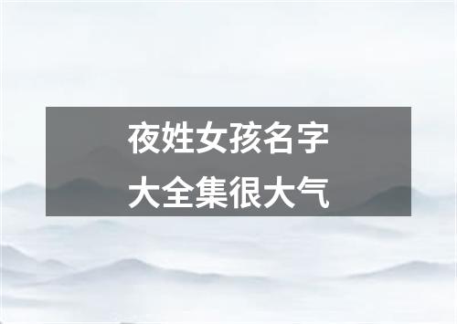 夜姓女孩名字大全集很大气