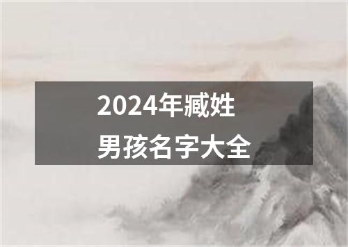 2024年臧姓男孩名字大全