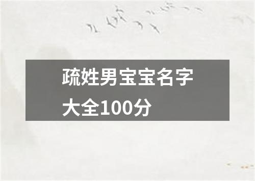 疏姓男宝宝名字大全100分