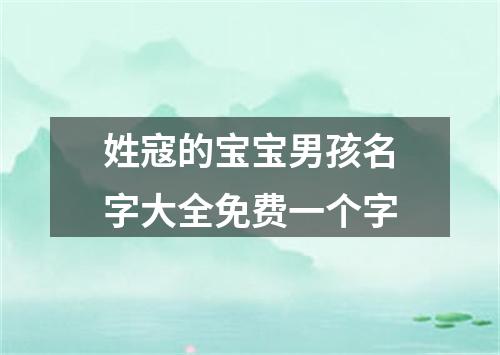 姓寇的宝宝男孩名字大全免费一个字