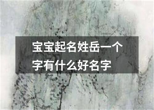 宝宝起名姓岳一个字有什么好名字