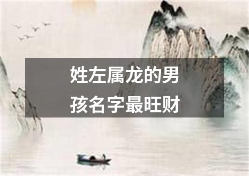 姓左属龙的男孩名字最旺财