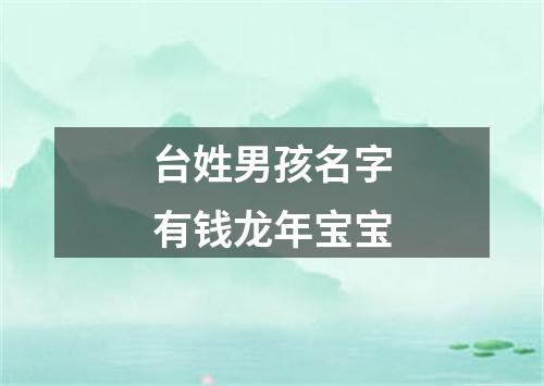 台姓男孩名字有钱龙年宝宝