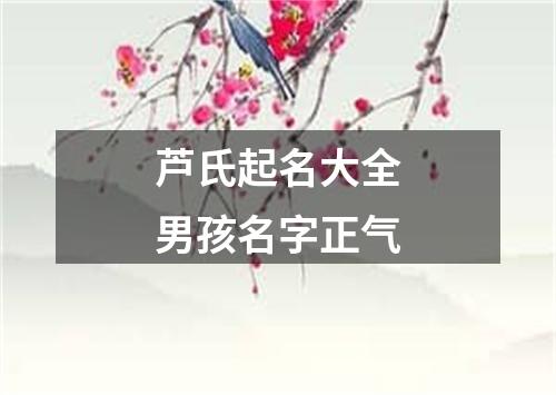芦氏起名大全男孩名字正气