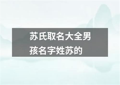 苏氏取名大全男孩名字姓苏的