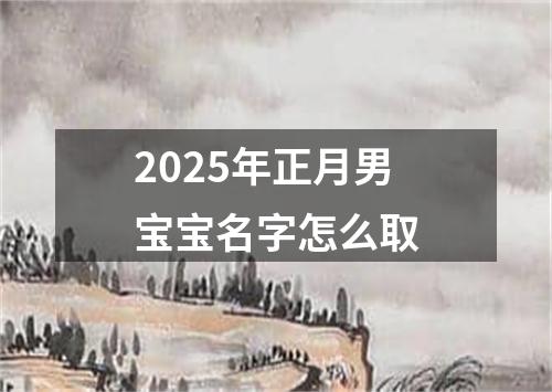 2025年正月男宝宝名字怎么取
