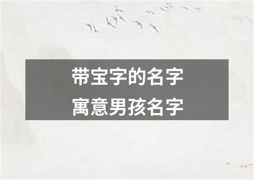 带宝字的名字寓意男孩名字
