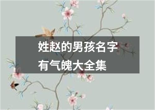 姓赵的男孩名字有气魄大全集