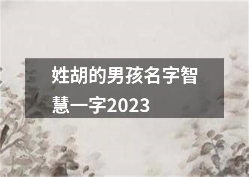姓胡的男孩名字智慧一字2023
