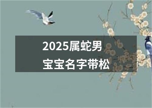 2025属蛇男宝宝名字带松