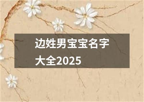边姓男宝宝名字大全2025