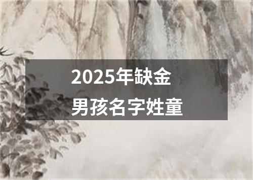 2025年缺金男孩名字姓童
