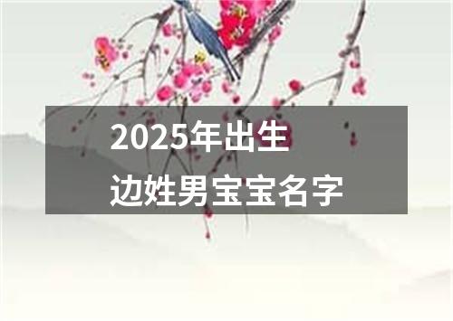 2025年出生边姓男宝宝名字
